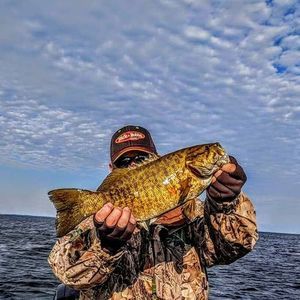 Meet your Posher, Don